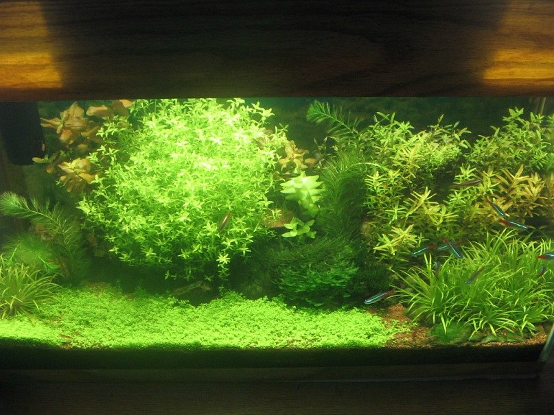 Зульфат Бабаев ℂ⋆ | Тюмень