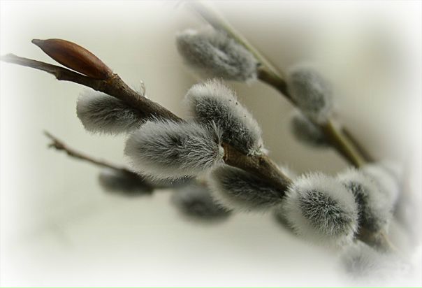 №20, Таня Крупенникова, Томск №20, Таня Крупенникова, Томск