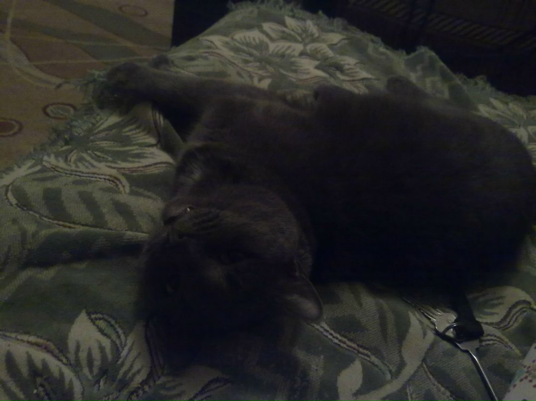 Владислав Бартенев | Старый Оскол