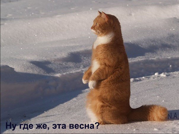 Каролина Костюкевич | Глубокое