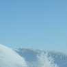 №131, Анжеліка Несен, 27 лет №131, Анжеліка Несен, 27 лет