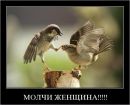 Фотография Гуэртэ Антонио