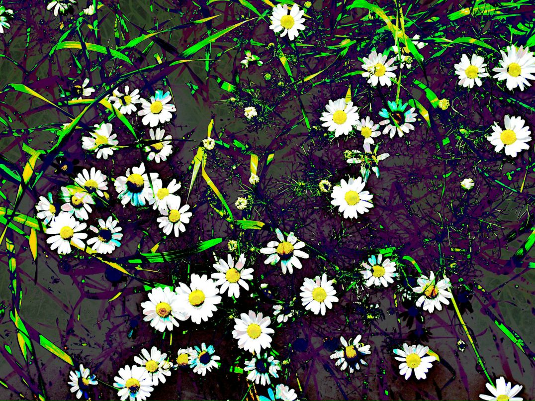 Oleg Olekshiy | Санкт-Петербург