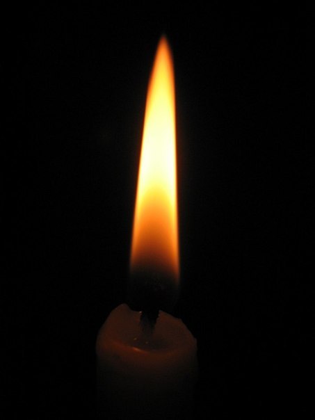 Аня Заборсина | Васильков