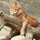 Евгения Таусенева | 