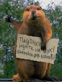 №1, Alexander Wojciechowski, Tela №1, Alexander Wojciechowski, Tela