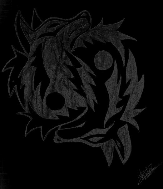 Дмитрий Волков | 