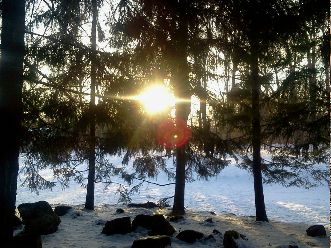 Олег Молчанов | Санкт-Петербург