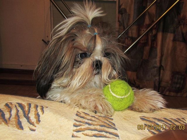 Александра Якушева | Тольятти