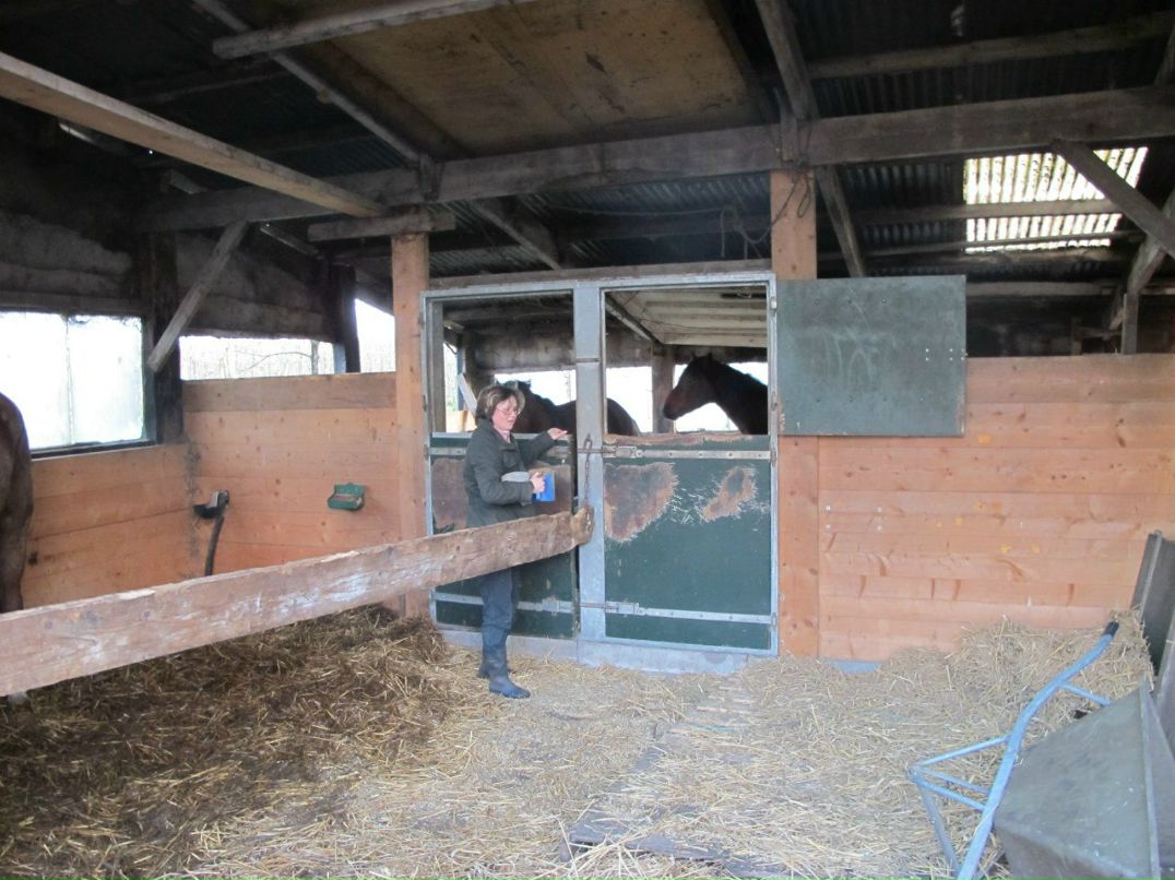 Никита Пичкалёв | Пермь