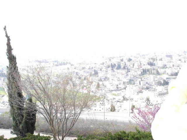 Александр Смурыгин | Auckland