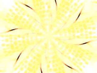 Ольга Мальчик | 