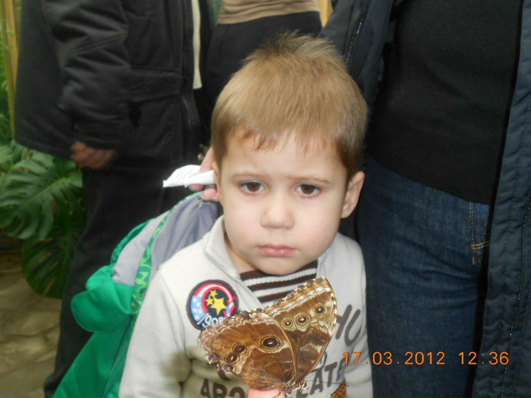 Алёна Александрова | Санкт-Петербург