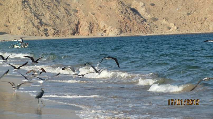 Светлана Александрова | Berlin