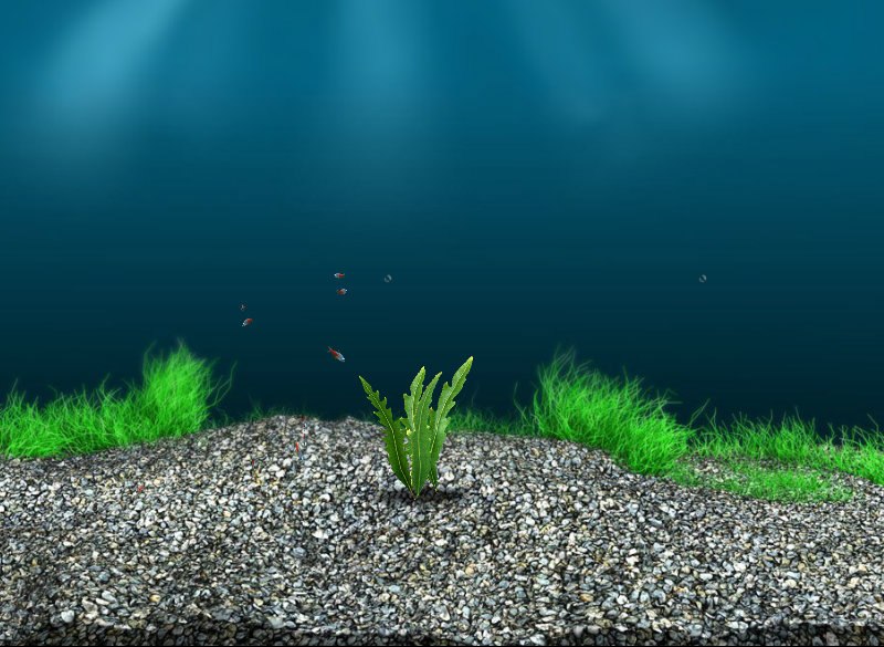 Дядя Очках в | Москва