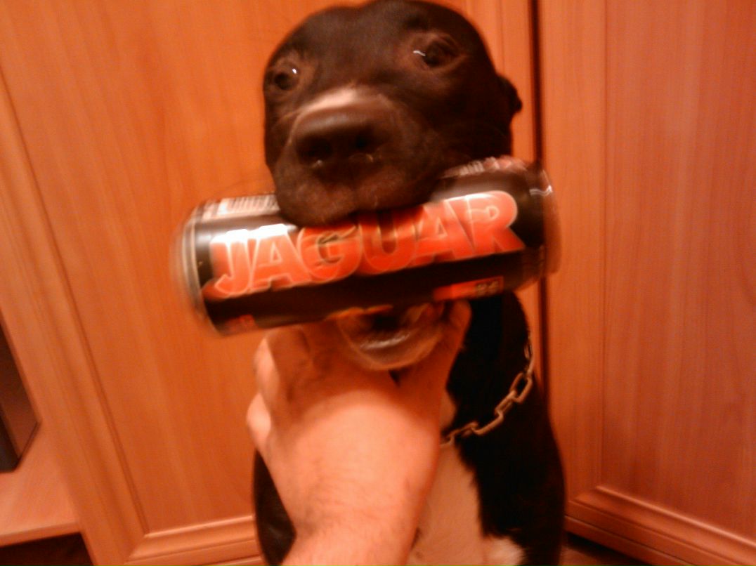 Иван Ващенко | Москва