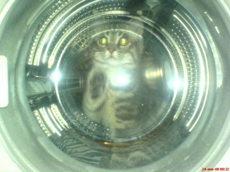 Настя Келер | Köln