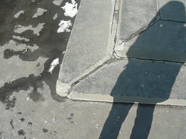 Дмитрий Коновалов | 