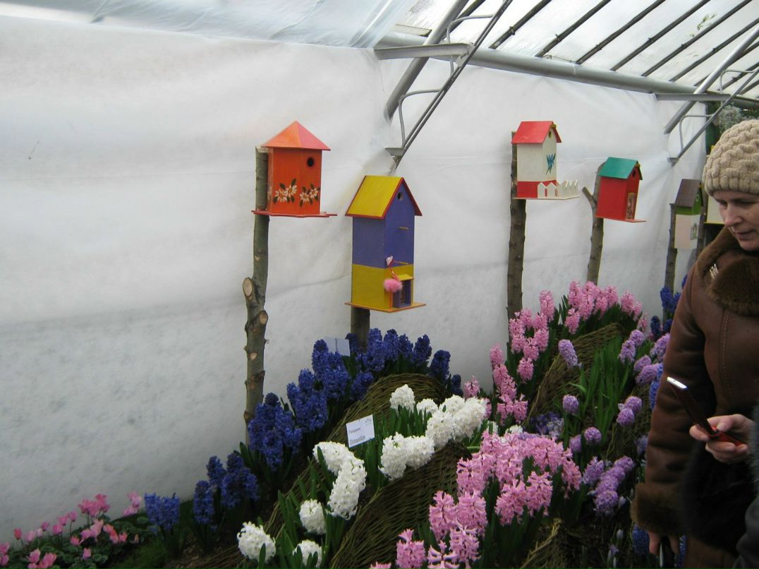 Андрей Михайлов Анатольевич | Ижевск