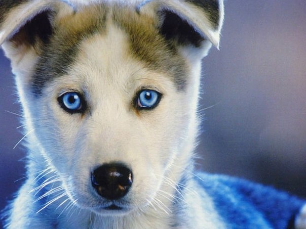 №13, Оксана Кузнецова, 4.1, Москва №13, Оксана Кузнецова, 4.1, Москва