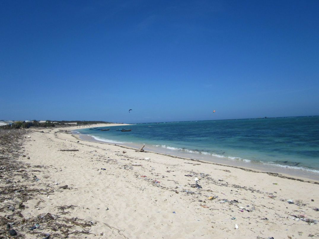 Лариса Моисеева | Сочи