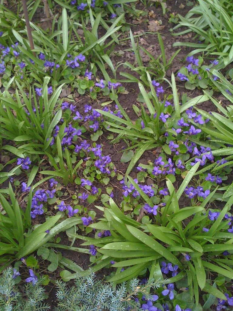 Александр Куликов | Днепр (Днепропетровск)