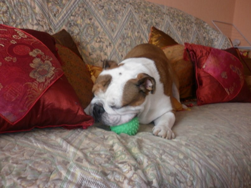 Екатерина Кулешова | Москва