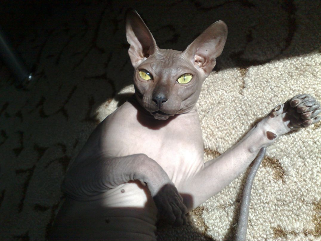 Катюха Гордиенко | Петропавловск-Камчатский