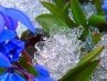 Наталья Реу | Одесса