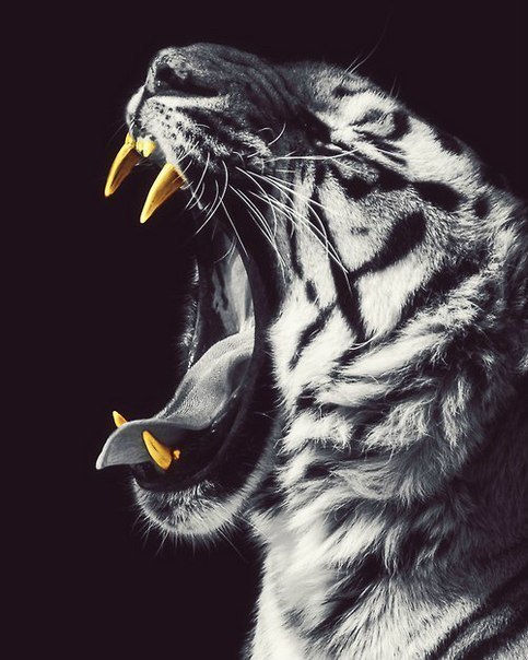 Ярослав Лунев, Россия