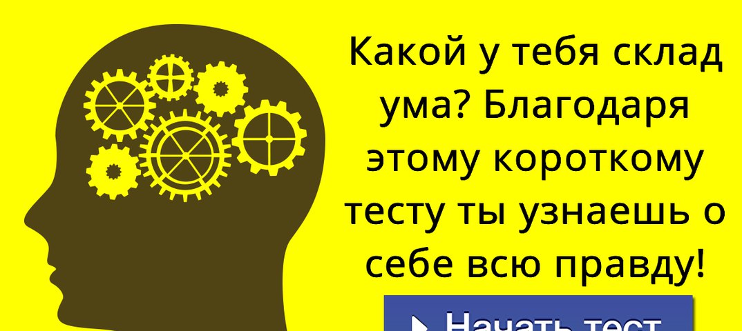Склад Ума Интернет Магазин Игрушек