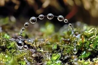 Мария Голубева, Россия, Москва