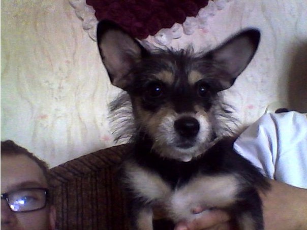 Аня Хватова, Россия, Череповец