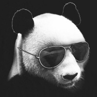 Иван Коновалов