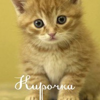 Кира это невероятное чудо)))))))) Кира это невероятное чудо))))))))