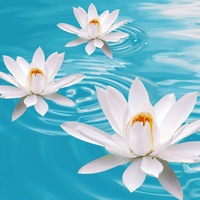 Марина Викторовна