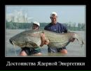 Фотография Сергей Чеботарь