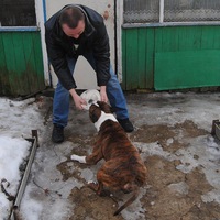 Николай Козлов