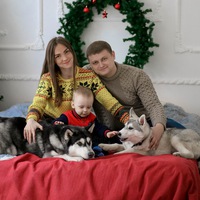 Максим Терещенко