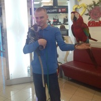 Сергей Анатольевич