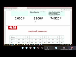 Бизнес возможности в проекте ALFA NETWORK