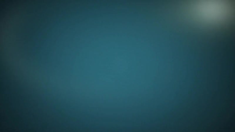 Rai Sky Dance Show2010 Восточные танцы