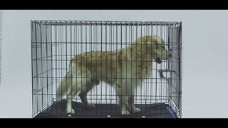 Клетка номер 6 (LEO)