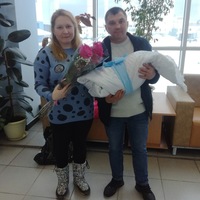 Владимир Кузнецов
