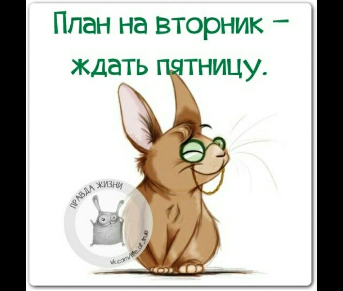 славянская картинки про вторник прикольные про работу яблок