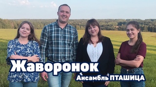 ЖАВОРОНОК - Ансамбль ПТАШИЦА a capella