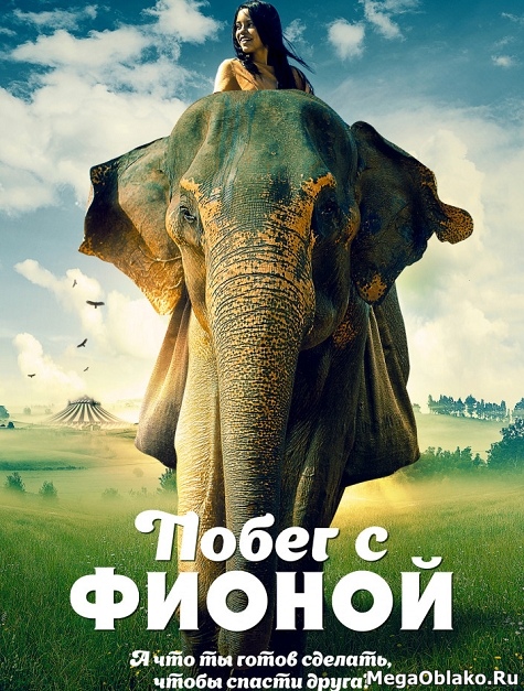Побег с Фионой / Saving Flora (2018/WEB-DL/WEB-DLRip) Побег с Фионой / Saving Flora (2018/WEB-DL/WEB-DLRip)