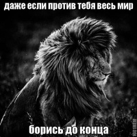 Дмитрий Чернов