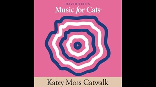 Katey Moss Catwalk
