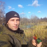 Денис Попов